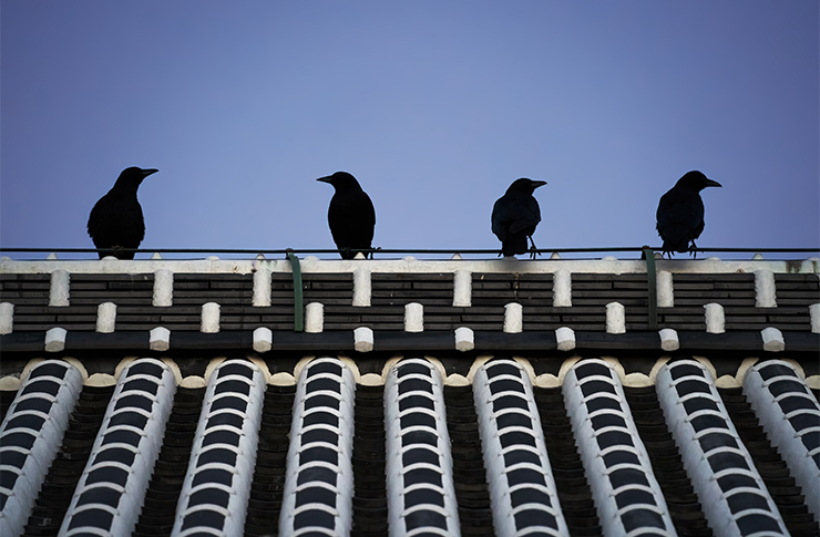 121821 t モバイルのロゴ