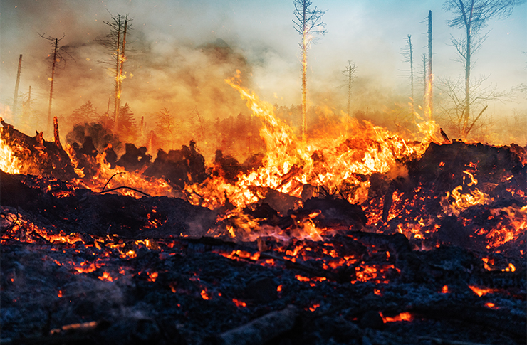 対岸類語 _ 対岸の火事 例文 _ 「対岸の火事」の意味や使い方 わかりやすく解説 Weblio辞書 – XTGO