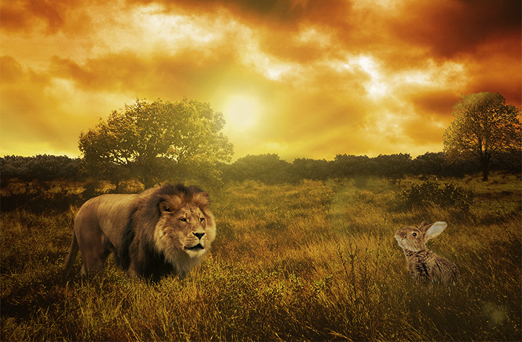 獅子搏兎 故事ことわざ辞典